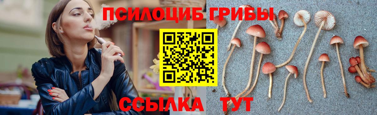 Галлюциногенные грибы ЛСД Кольчугино