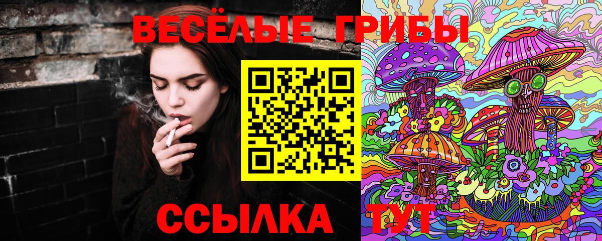 Галлюциногенные грибы мицелий  Вход с VPN  закладка  Кольчугино 